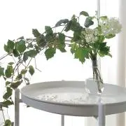 ふみの画像