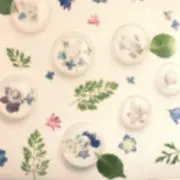 はるずみの画像