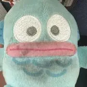ぎょどんの画像
