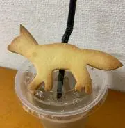 きつねとたぬきの画像