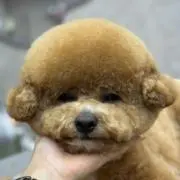 あ