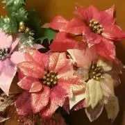 ★300〜1500円出品中! ★B.D.の画像