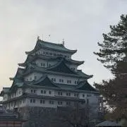Rの画像