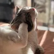 U♥KOの画像