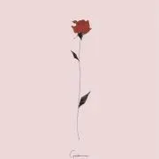 R❤︎の画像
