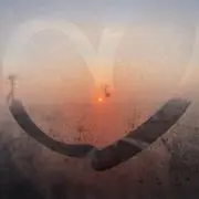Radiant sunの画像