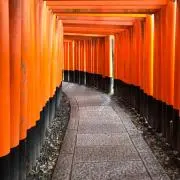 のり