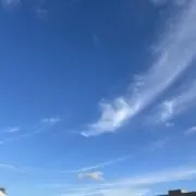 ☘️まころん☘️セール中！の画像