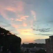 そらまめの画像