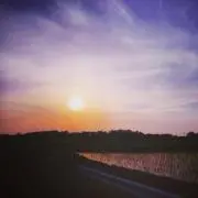ゆり