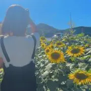 meterの画像