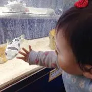 raimuの画像