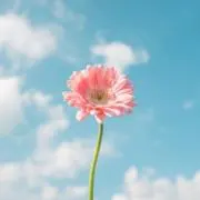 ももの画像
