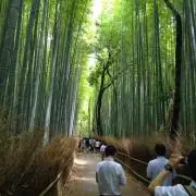 JAJAMARUの画像