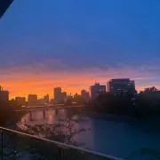 アリエルの画像