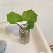 なたり