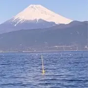 ともの画像