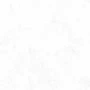 ニケの画像