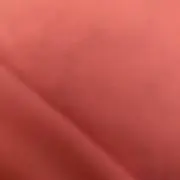 ayaの画像