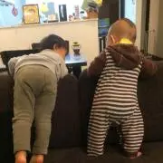 やまの画像