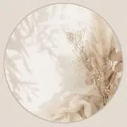 こじまるの画像
