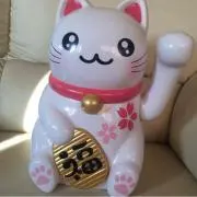 taipi~en