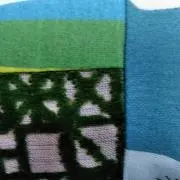 WTの画像