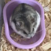 ☆AhRk☆の画像