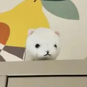 jerryの画像