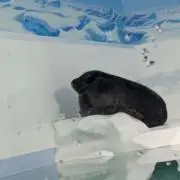 オフミツ