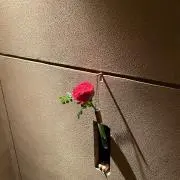 ちーちゃんの画像