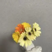 ami 【プロフ必読!!】の画像