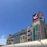 あるか【代行業者様・まとめ買い大歓迎】の画像
