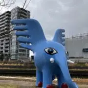 Image of すもうち
