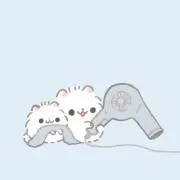 えーすの画像
