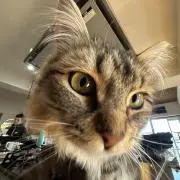 Image of Kat