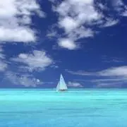 もふの画像