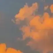 ろぜの画像