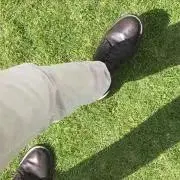 レオの画像