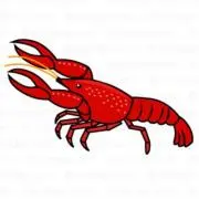 さー