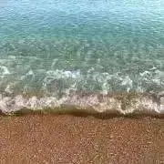 ひかりの画像