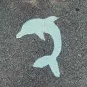 ｓａｔｏの画像