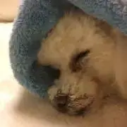 お安くしてます(^^)