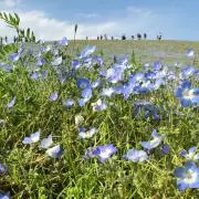 ききのこ⭐︎転売禁止⭐︎断捨離中の画像