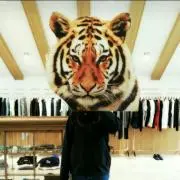 おもちの画像