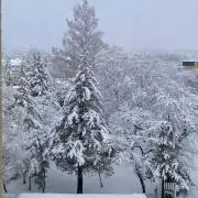 リエン　フー
