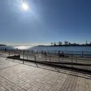 シバイヌ0606