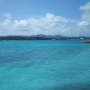 わしん
