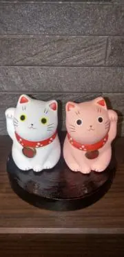 Tokotokoの画像