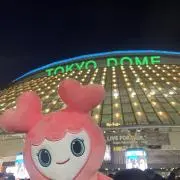 ネコの画像